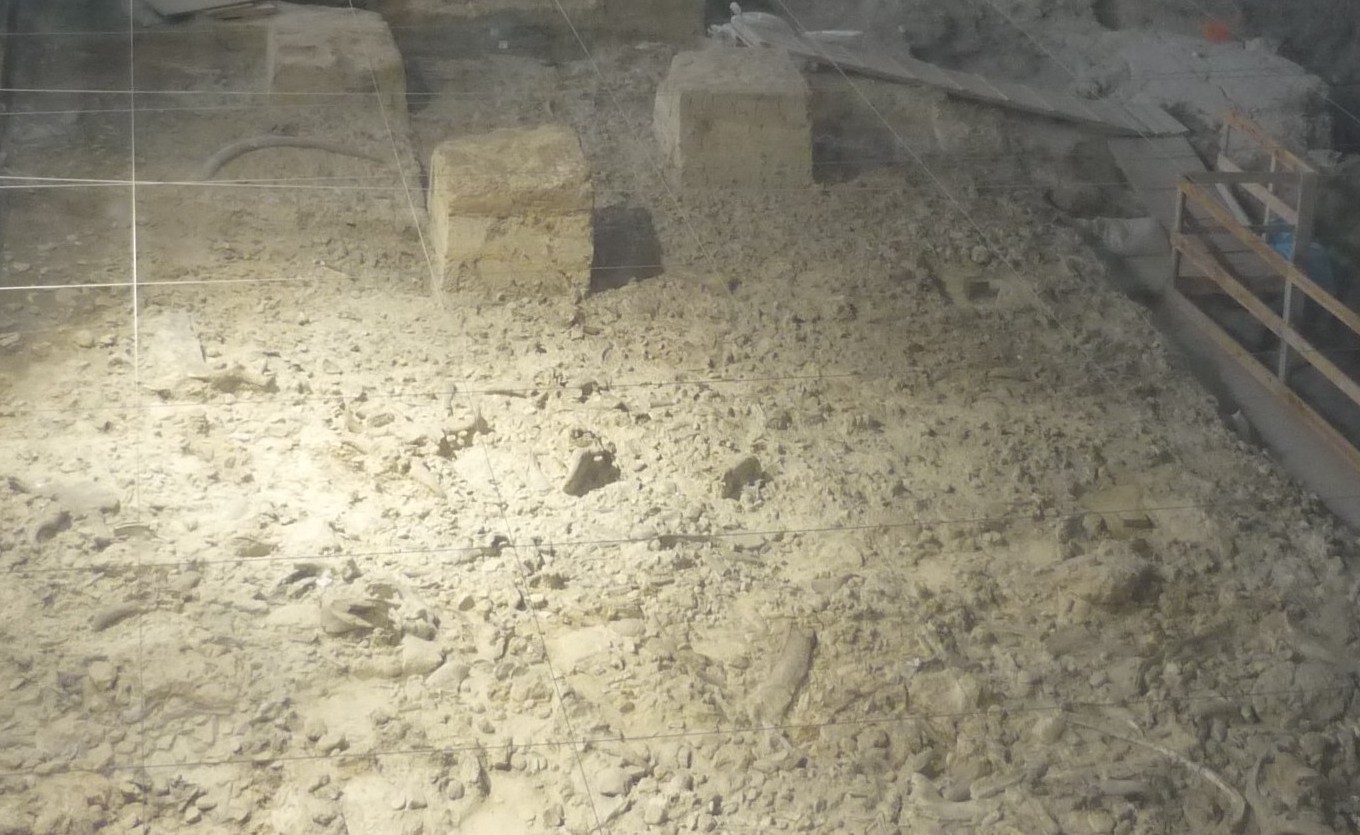 Paleosuperfice di Isernia La Pineta